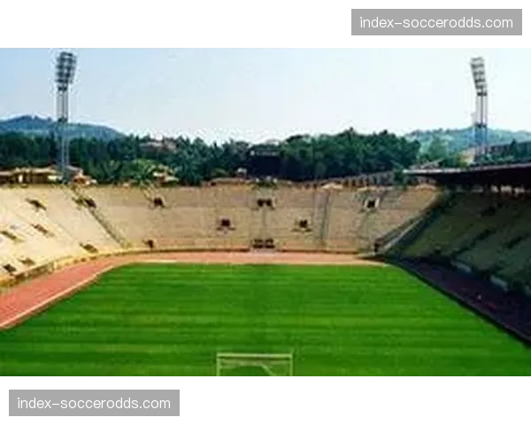 行政手续繁琐：巴里、博洛尼亚等十座城市球场项目推进艰难